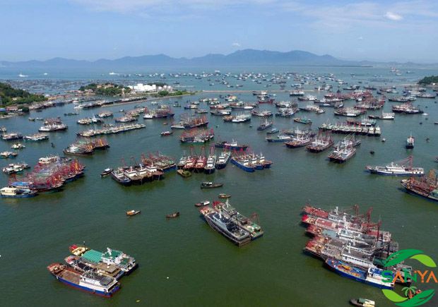 2024买球赛十大平台农业展